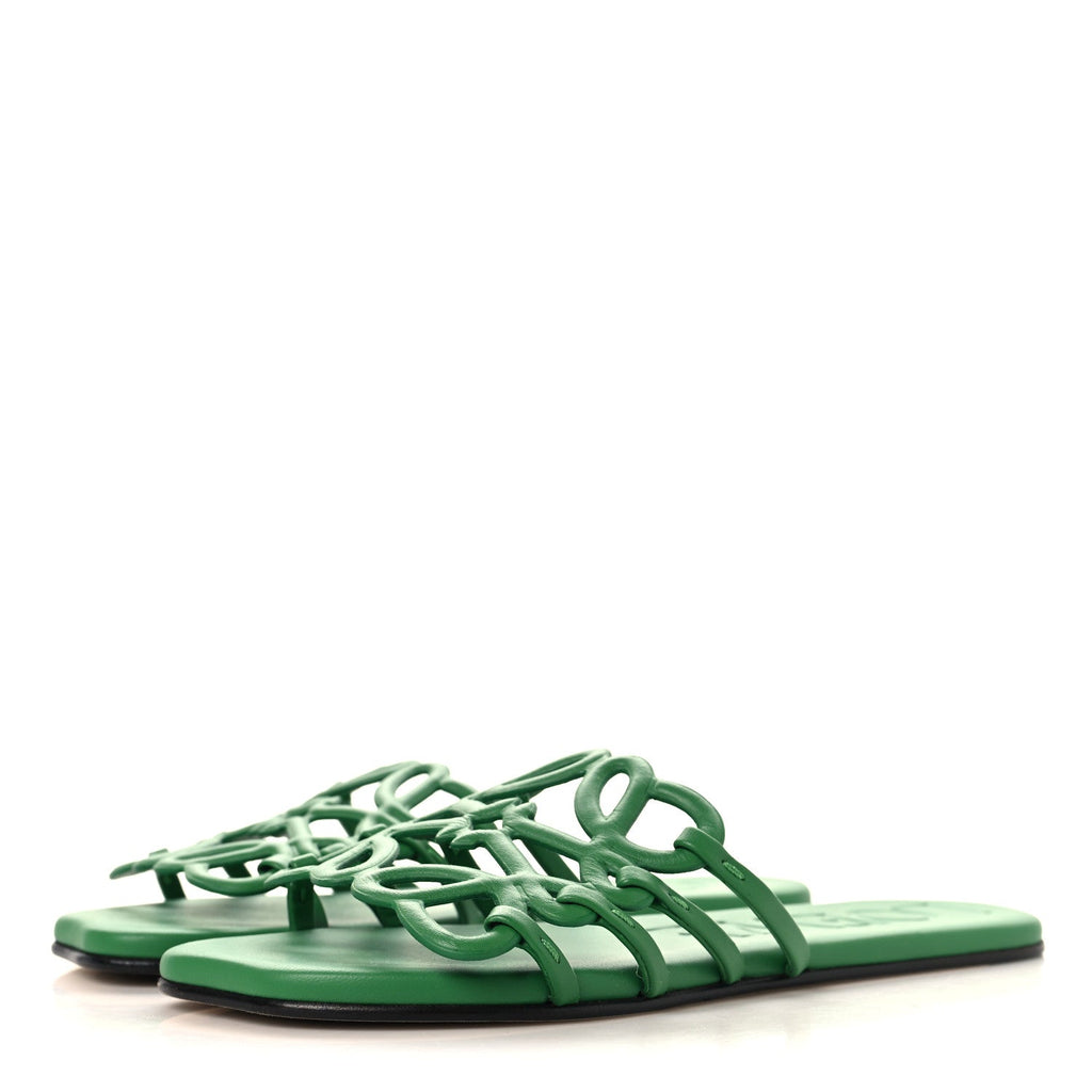 Loewe Calfskin Women's Paula's Ibiza Petal Anagram Caged Slide Sandals 38 Green