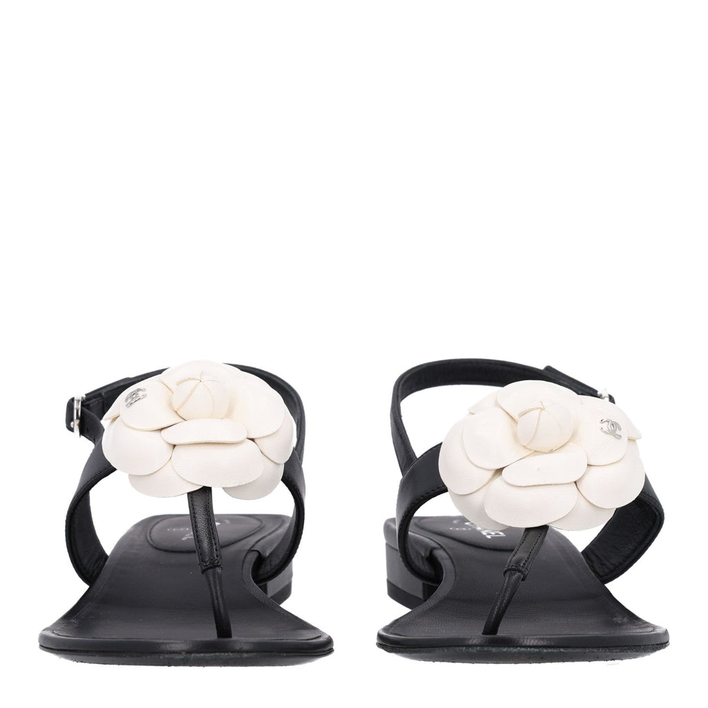 Chanel Lambskin Camellia Women's Thong Sandals 36.5 Black White