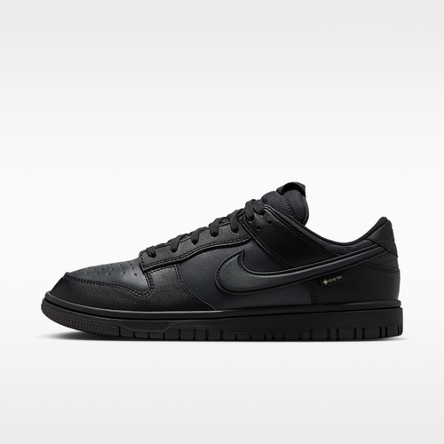 Nike Dunk Low GORE-TEX Men's Shoes HQ2053-001