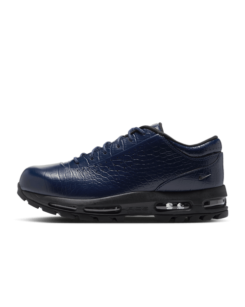 Nike Air Max Goadome Low Men's Shoes IV4517-400