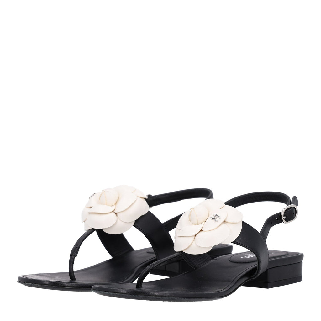 Chanel Lambskin Camellia Women's Thong Sandals 36.5 Black White